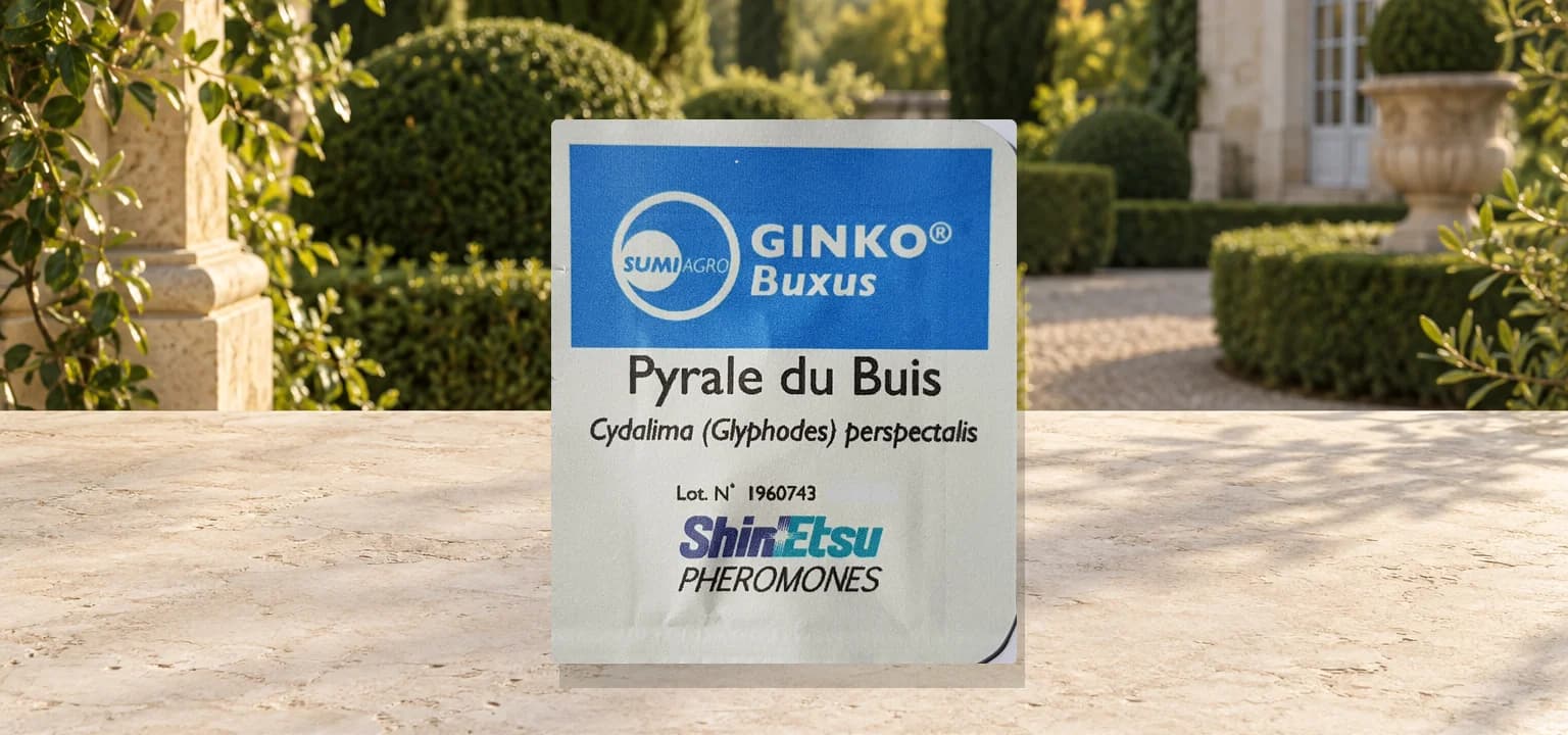 Phéromones GINKO® BUXUS Long life 8 mois contre la Pyrale du buis