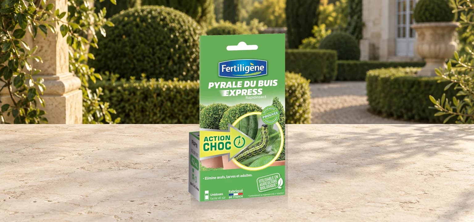 PYRALE DU BUIS EXPRESS Spru-42 ml
