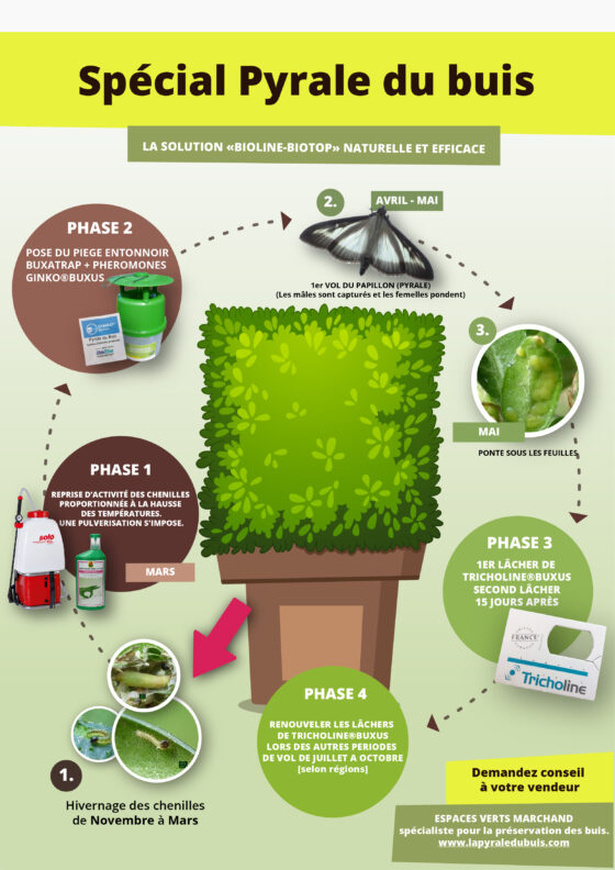 Phéromones GINKO® BUXUS Long life 8 mois contre la Pyrale du buis – Image 5
