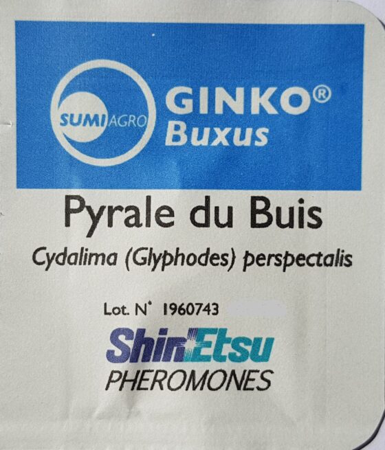 GINKO-Buxus-EVM
