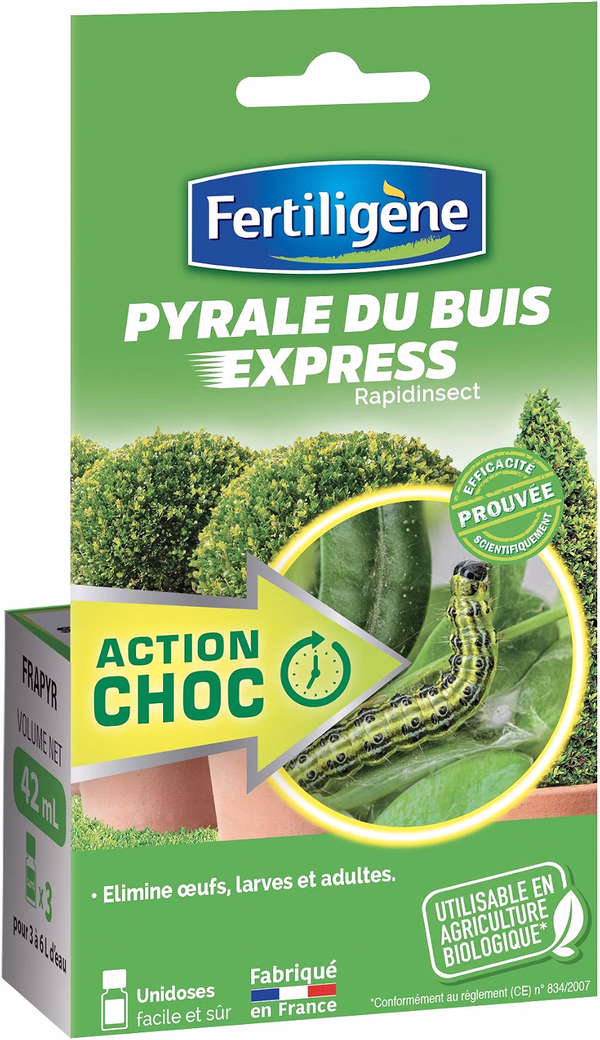 PYRALE DU BUIS EXPRESS