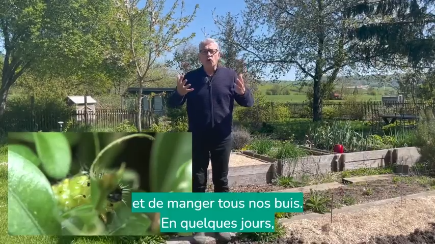 vidéo FER.